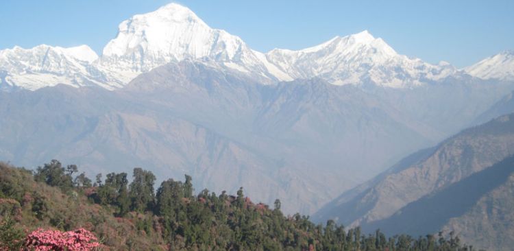 Mt. Dhaulagiri and Tukuche Peak seen from Pun Hill