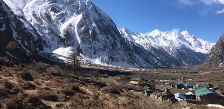 Himalayan View