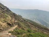 The Trails
