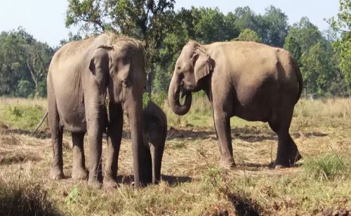 Chitwan National Park